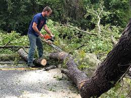 Best Emergency Tree Removal  in Hidden Meadows, CA