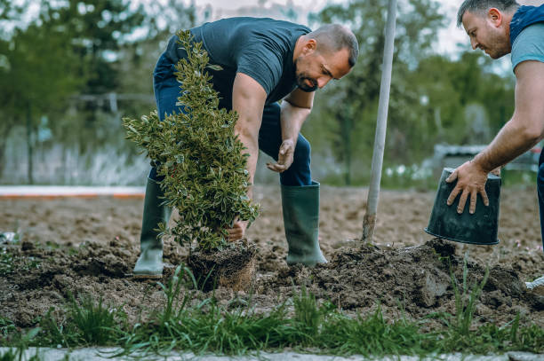 Best Lawn Irrigation Installation and Maintenance  in Hidden Meadows, CA
