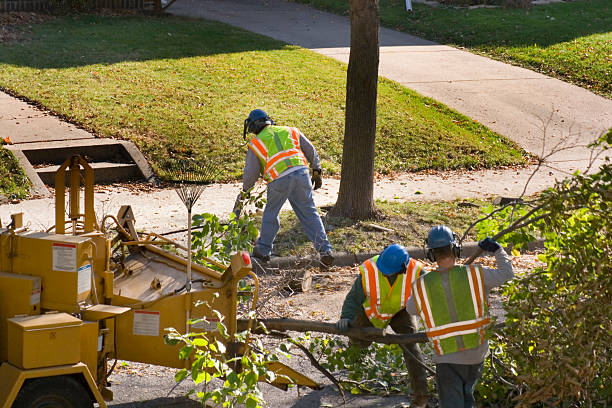 Best Organic Lawn Care Solutions  in Hidden Meadows, CA